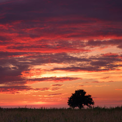 Lubartów Plain, Kozlowiecki Landscape Park