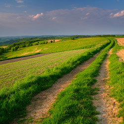 Strzyżów Foothills