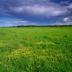 GorzĂłw Valley, UjĹcie Warty National Park