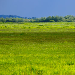 GorzĂłw Valley, UjĹcie Warty National Park