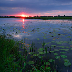 Kotlina Gorzowska, Park Narodowy Ujście Warty