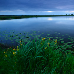 GorzĂłw Valley, UjĹcie Warty National Park