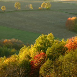 Strzyżów Foothills