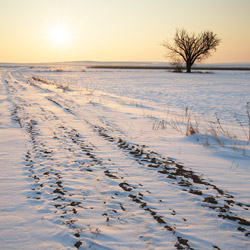 Tarnogrod Plateau