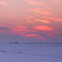 Tarnogrod Plateau