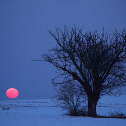 Moonrise, Tarnogrod Plateau