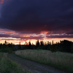 Bukowina Foothills