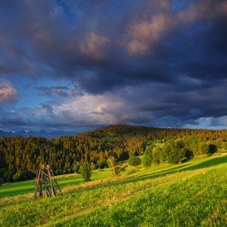 Bukowina Foothills