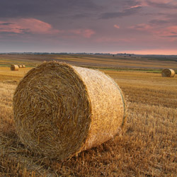 Wyżyna Lubelska