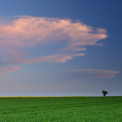 Płaskowyż Tarnogrodzki