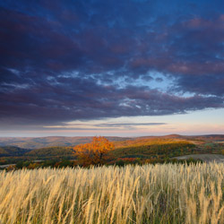 Przemysl Foothills