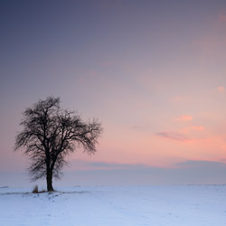 Płaskowyż Tarnogrodzki