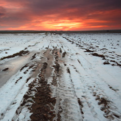 Tarnogrod Plateau