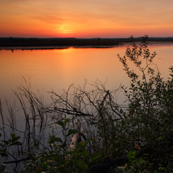 Imielty Ług Nature Reserve, Janow Forest Landscape Park