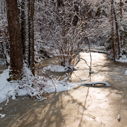 Szklarnia Nature Reserve, Janow Forest Landscape Park