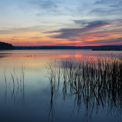 Imielty Ług Nature Reserve, Janow Forest Landscape Park