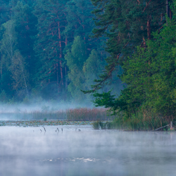 Rezerwat przyrody Imielty Ług, Park Krajobrazowy Lasy Janowskie