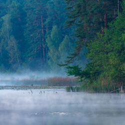 Imielty Ług Nature Reserve, Janow Forest Landscape Park