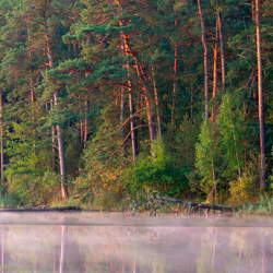 Imielty Ług Nature Reserve, Janow Forest Landscape Park