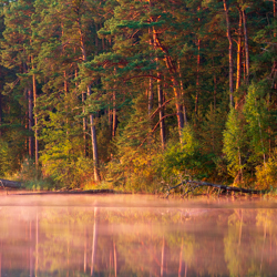 Imielty Ług Nature Reserve, Janow Forest Landscape Park