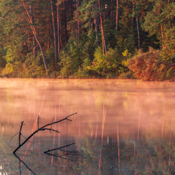 Imielty Ług Nature Reserve, Janow Forest Landscape Park