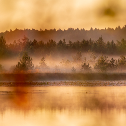 Imielty Ług Nature Reserve, Janow Forest Landscape Park