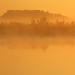 Imielty Ług Nature Reserve, Janow Forest Landscape Park