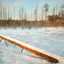 Obary Nature Reserve