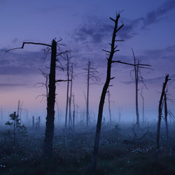 Obary Nature Reserve