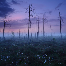 Obary Nature Reserve