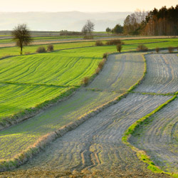 Western Roztocze, Szczebrzeszyn Landscape Park