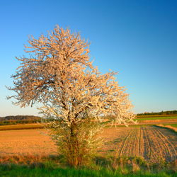 Central Roztocze