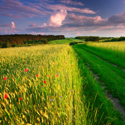 Western Roztocze, Szczebrzeszyn Landscape Park