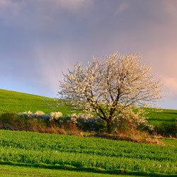 Roztocze Zachodnie, Szczebrzeszyński Park Krajobrazowy