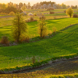 Western Roztocze, Szczebrzeszyn Landscape Park