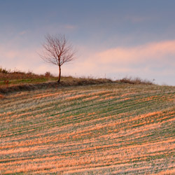 Western Roztocze, Szczebrzeszyn Landscape Park