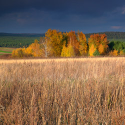 Central Roztocze