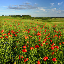 Central Roztocze