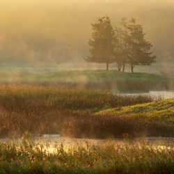 Central Roztocze, Roztocze National Park