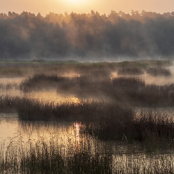 Roztocze Środkowe, Roztoczański Park Narodowy