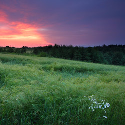 Roztocze Zachodnie, Szczebrzeszyński Park Krajobrazowy