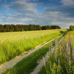 Roztocze Środkowe