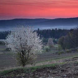 Roztocze Środkowe