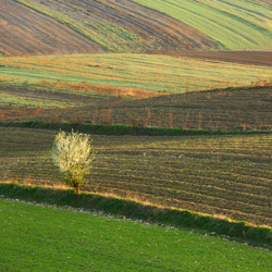 Central Roztocze