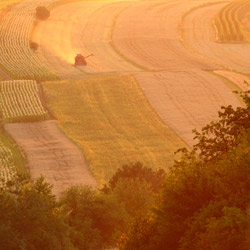 Roztocze Zachodnie, Szczebrzeszyński Park Krajobrazowy