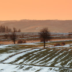 Roztocze Zachodnie, Szczebrzeszyński Park Krajobrazowy