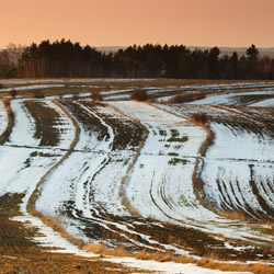 Western Roztocze, Szczebrzeszyn Landscape Park