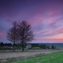 Western Roztocze, Szczebrzeszyn Landscape Park