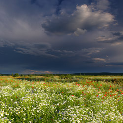 Roztocze Zachodnie, Szczebrzeszyński Park Krajobrazowy