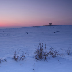 Roztocze Środkowe